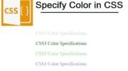 Learn How to Set Colors in CSS