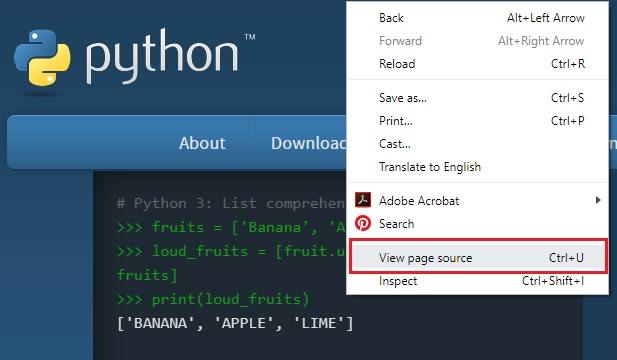 Python - View Page Source