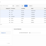 Read more about the article Oracle Apex: Interactive Grid Get Selected Rows Example