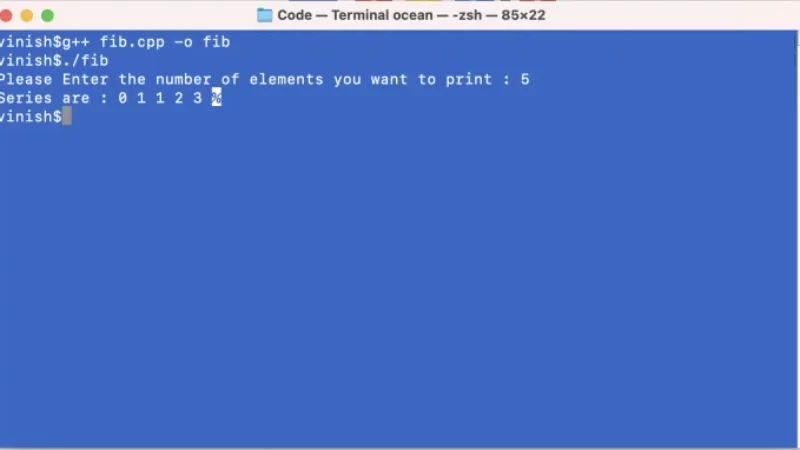 How to Run C++ Program on Mac Terminal